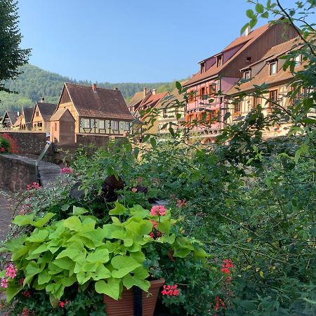 Studio Cosy Kaysersberg Centre Esterno foto