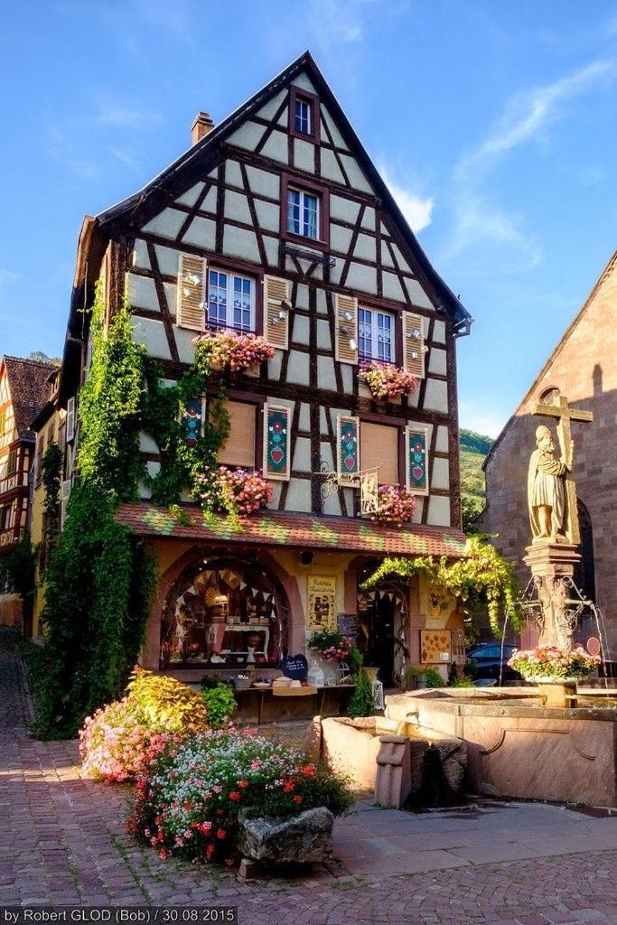 Studio Cosy Kaysersberg Centre Esterno foto